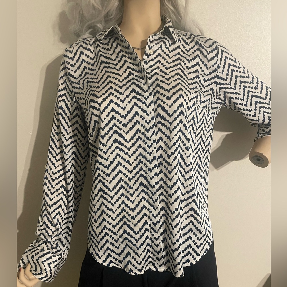 The Limited long sleeve blouse